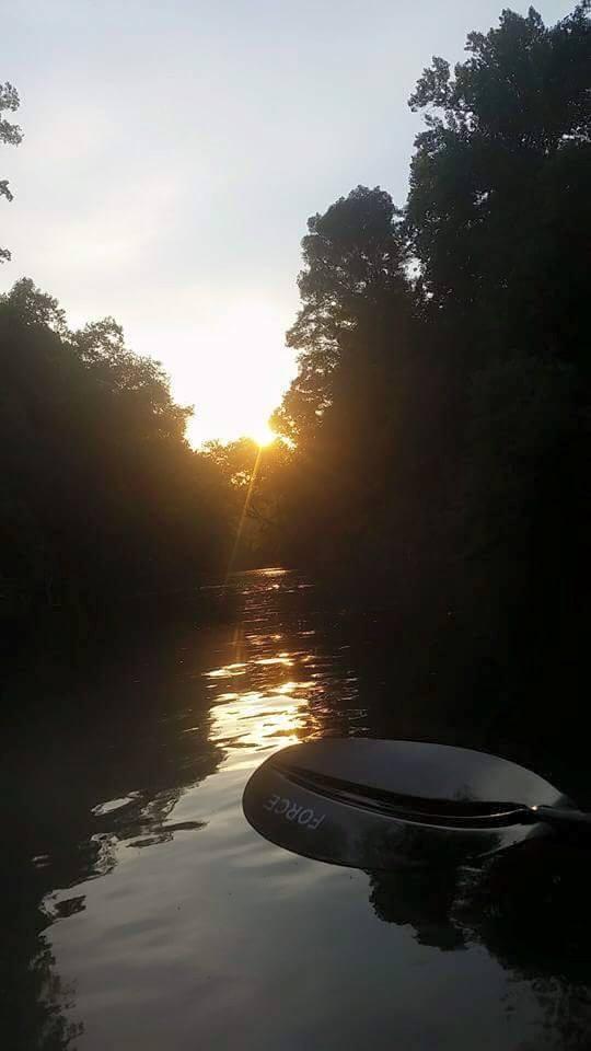Bear Creek Canoe Run Hamilton Marion Alabama State Guide